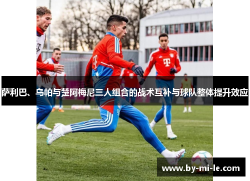 萨利巴、乌帕与楚阿梅尼三人组合的战术互补与球队整体提升效应