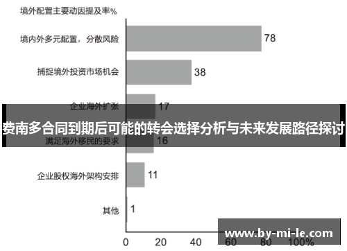 费南多合同到期后可能的转会选择分析与未来发展路径探讨