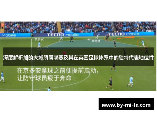 深度解析加的夫城所属联赛及其在英国足球体系中的独特代表地位性