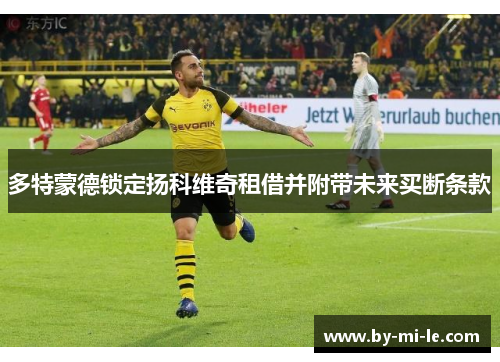 多特蒙德锁定扬科维奇租借并附带未来买断条款 多特蒙德锁定扬科维奇租借并附带未来买断条款